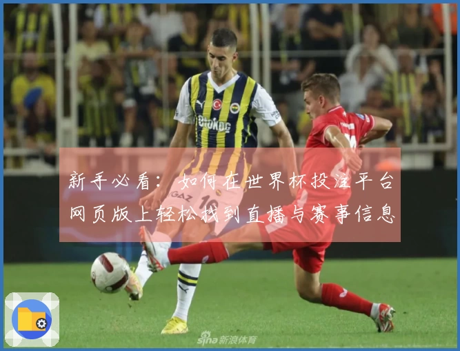 新手必看：如何在世界杯投注平台网页版上轻松找到直播与赛事信息