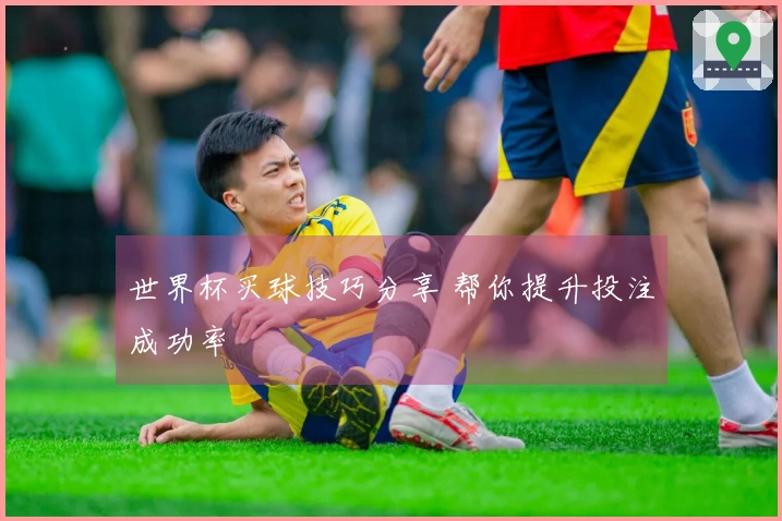 世界杯买球技巧分享 帮你提升投注成功率