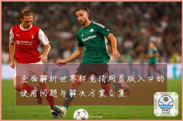 全面解析世界杯竞猜网页版入口的使用问题与解决方案合集