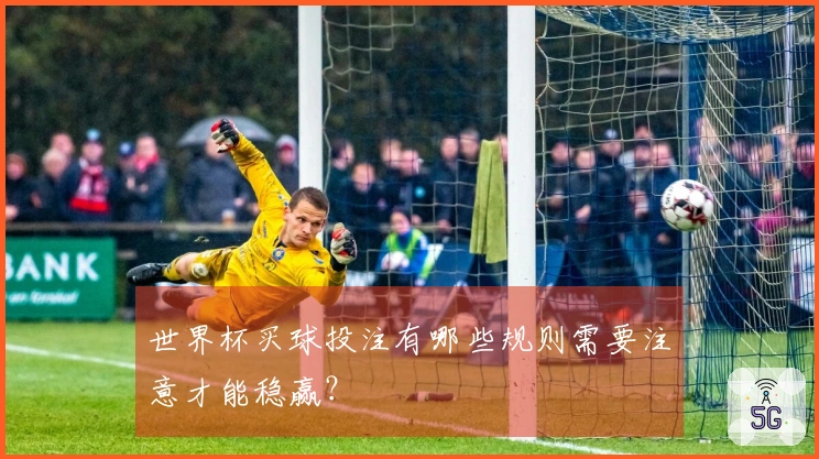世界杯买球投注有哪些规则需要注意才能稳赢？