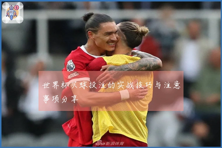 世界杯买球投注的实战技巧与注意事项分享