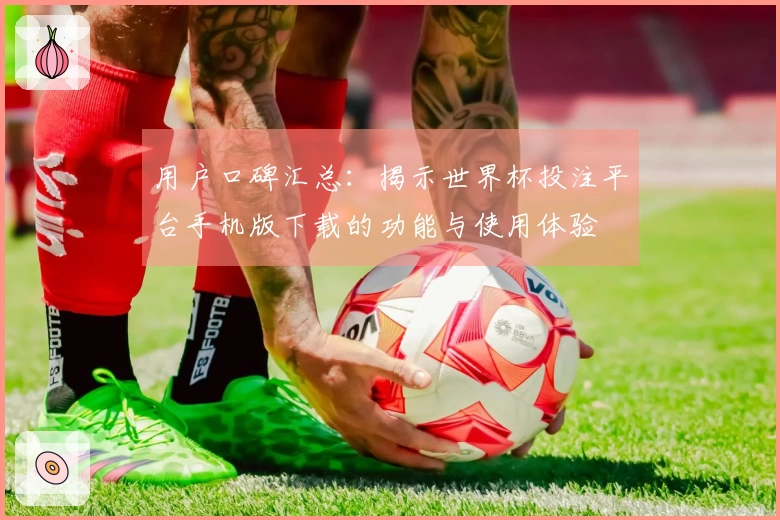 用户口碑汇总：揭示世界杯投注平台手机版下载的功能与使用体验