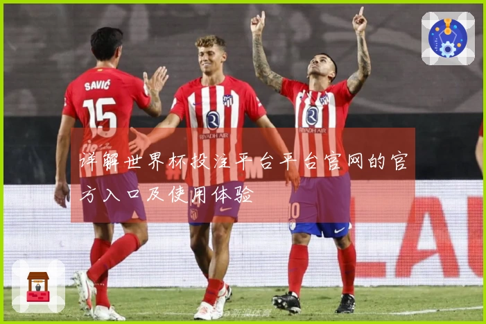 详解世界杯投注平台平台官网的官方入口及使用体验