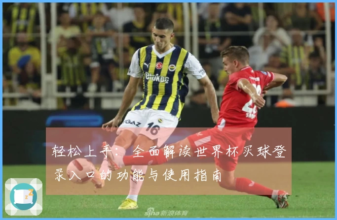 轻松上手：全面解读世界杯买球登录入口的功能与使用指南
