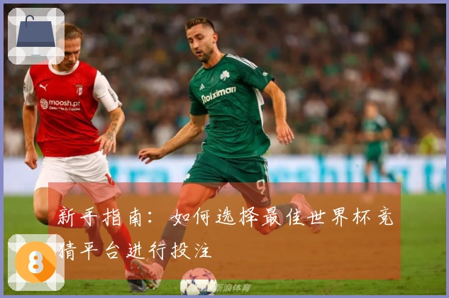 新手指南：如何选择最佳世界杯竞猜平台进行投注