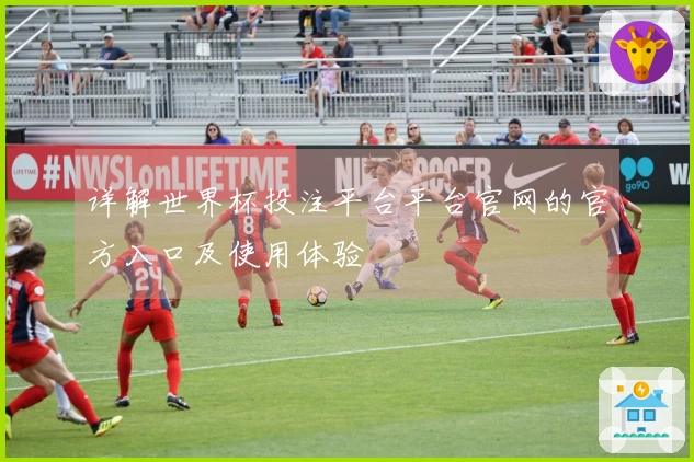 详解世界杯投注平台平台官网的官方入口及使用体验