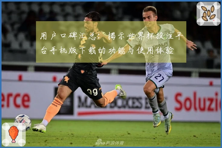 用户口碑汇总:揭示世界杯投注平台手机版下载的功能与使用体验