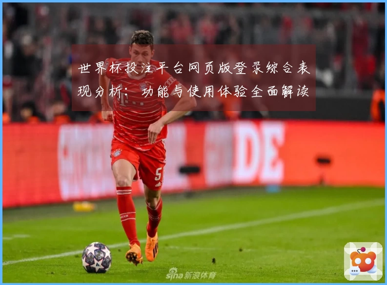 世界杯投注平台网页版登录综合表现分析：功能与使用体验全面解读
