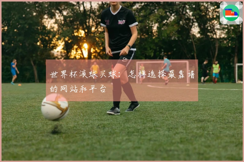 世界杯滚球买球：怎样选择最靠谱的网站和平台