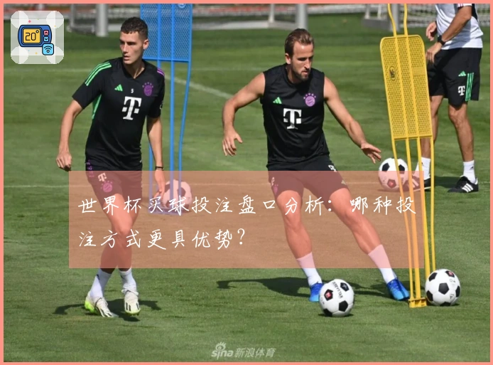 世界杯买球投注盘口分析：哪种投注方式更具优势？
