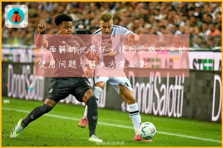 全面解析世界杯竞猜网页版入口的使用问题与解决方案合集