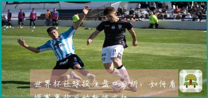 世界杯让球投注盘口分析，如何看懂赛事背后的数据玄机