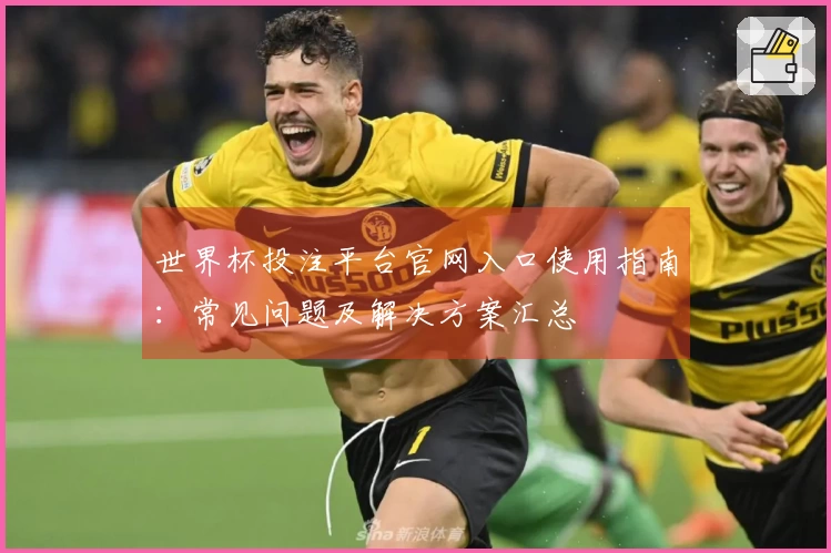 世界杯投注平台官网入口使用指南：常见问题及解决方案汇总