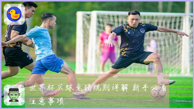 世界杯买球竞猜规则详解 新手必看注意事项