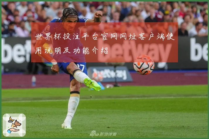 世界杯投注平台官网网址客户端使用说明及功能介绍