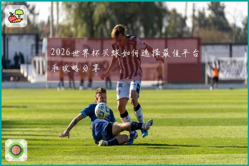 2026世界杯买球如何选择最佳平台和攻略分享
