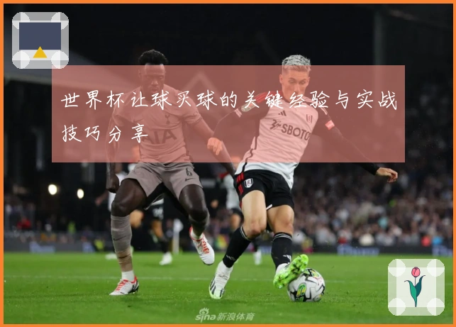 世界杯让球买球的关键经验与实战技巧分享