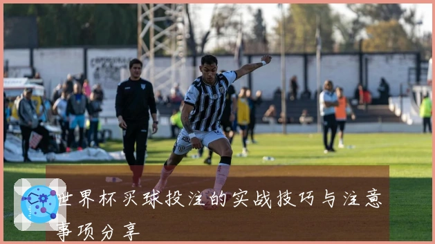 世界杯买球投注的实战技巧与注意事项分享