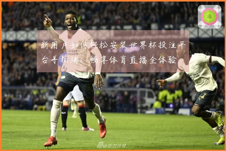 新用户如何轻松安装世界杯投注平台手机端，畅享体育直播全体验